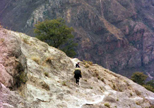 Mexico-Copper Canyon-Copper Canyon Expedition - Sierra Madre